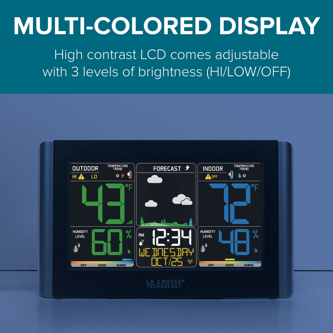 C85845V4 Multi-Colored Display