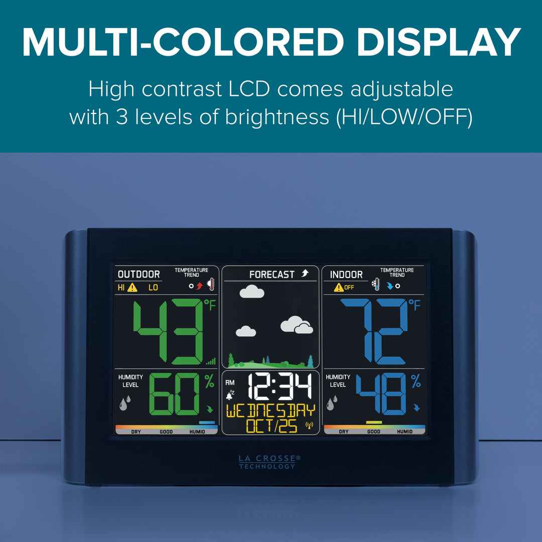 308-10847 Multi-Colored Display