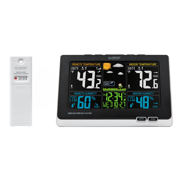 絵画　大型　「Weather Expert」 絵画 大型 「Weather Expert」 絵画 大型 「Weather Expert」 Vintage