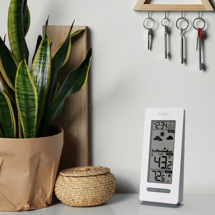 308-1415FCT-NH Wireless Forecast Station