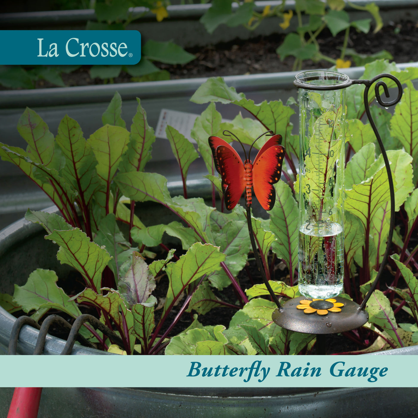 704-13077 Butterfly rain gauge with La Crosse branding in a garden setting