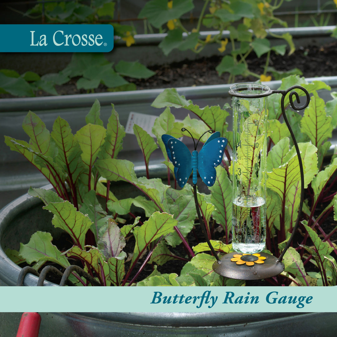 704-71077 Butterfly Rain Gauge - Blue