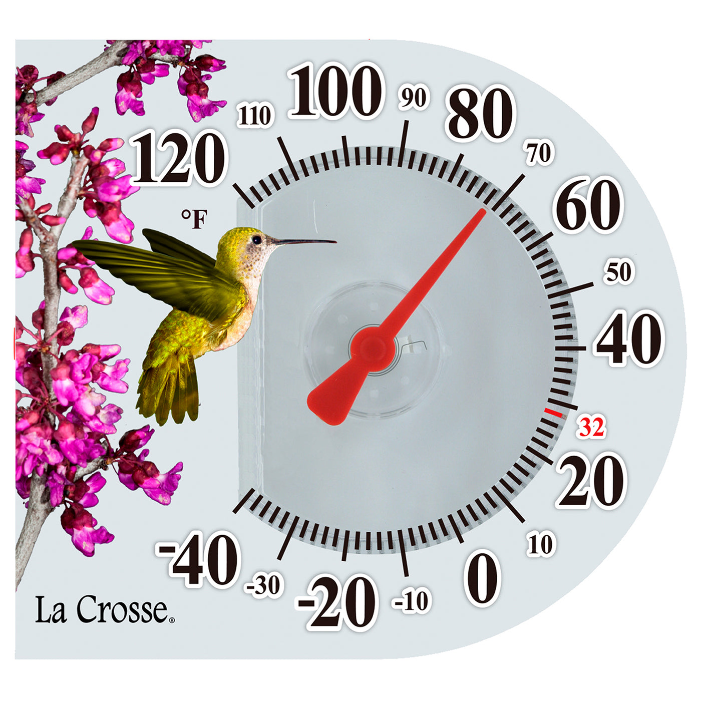 104-1515b headon-hummingbird 2