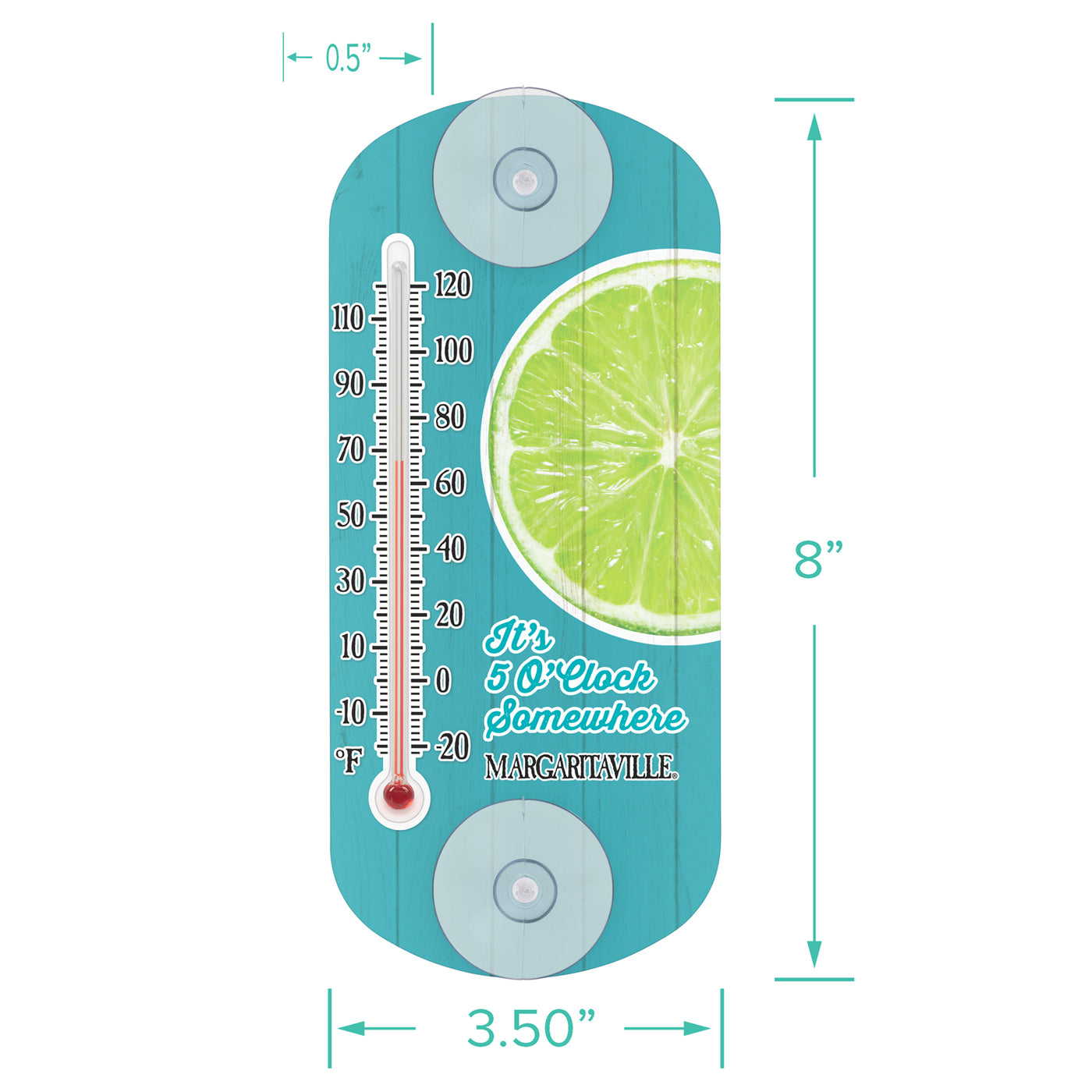 204-1081MV Dimensions