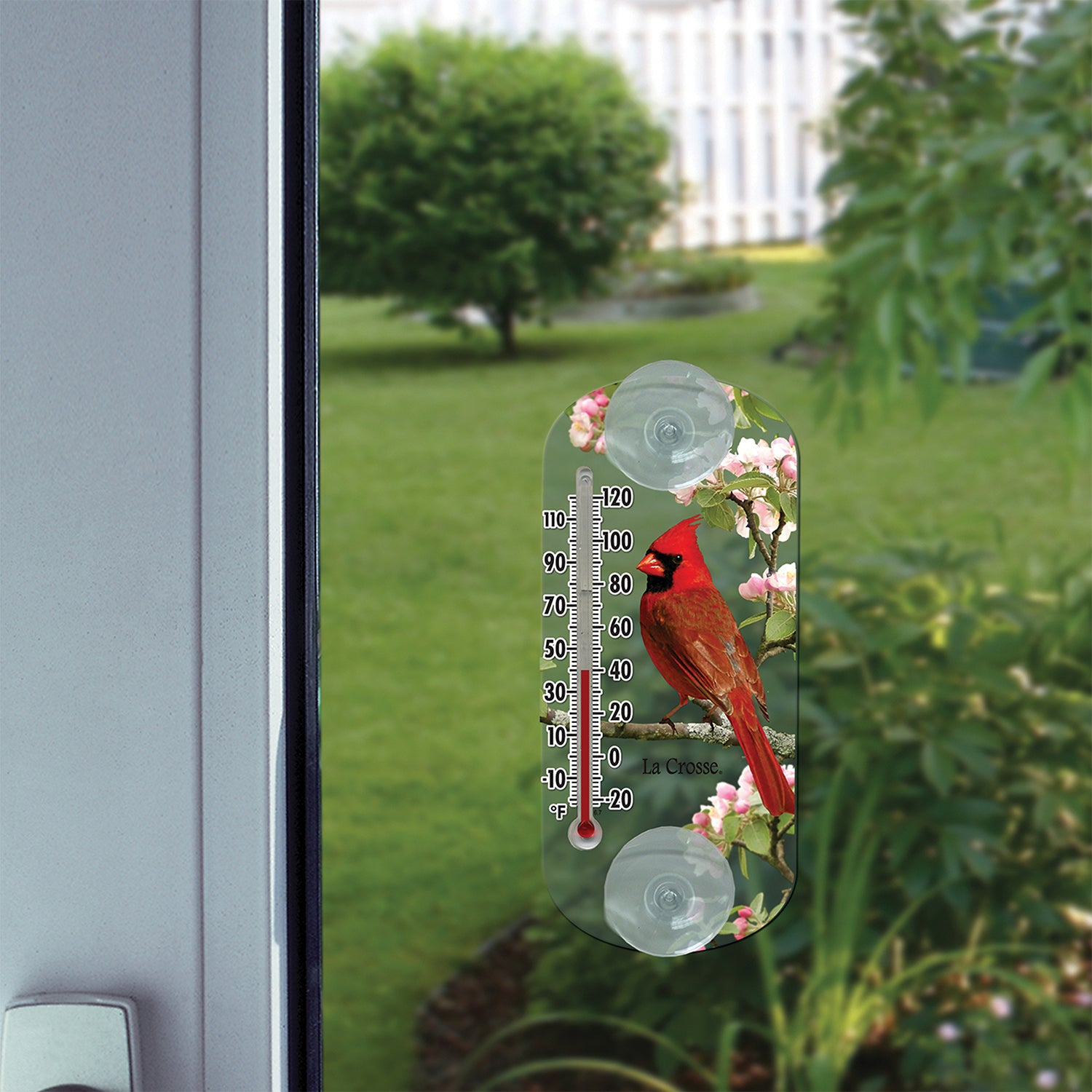Bird Variety Pack - Window Thermometers