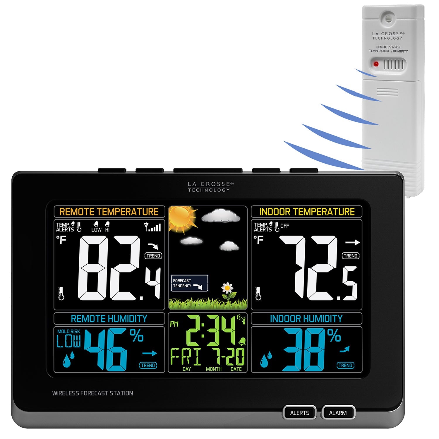 【NWS】商品 308-