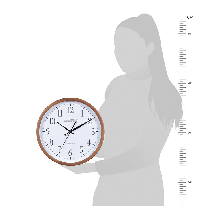 カクタス　ミルキークォーツ Buy 'Brain Cactus - Stenocactus Multicostatus' | Planet Desert