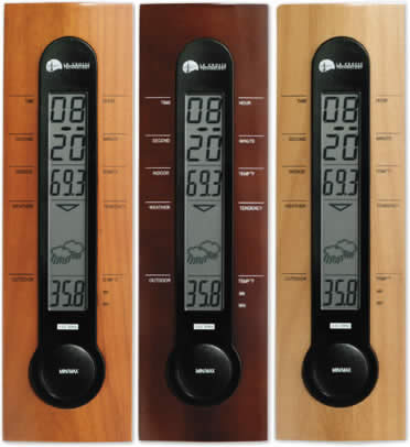 Wireless Forecast Station