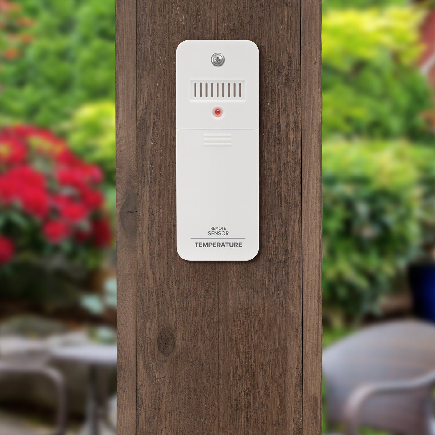 TX151 Wireless Temperature Sensor
